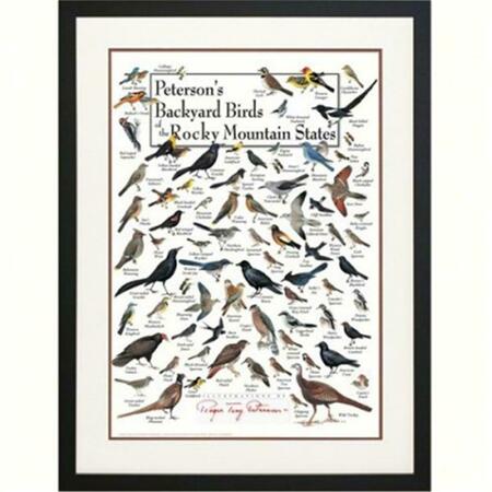 STEVEN M. LEWERS EARTH SKY WATER Petersons Backyard Birds of the Rocky Mountains Poster LEWERSBBRPT133